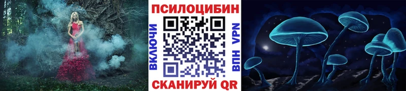 mega ТОР  Калуга  Псилоцибиновые грибы мухоморы 